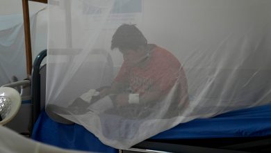 Photo of Crece el Chikungunya en la Argentina: ya son 23 los casos autóctonos