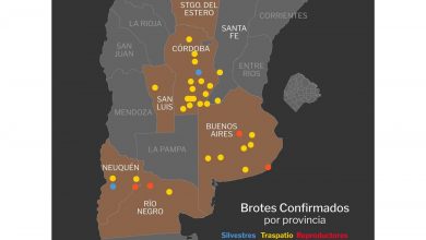 Photo of El mapa de la gripe aviar en la Argentina: se detectaron 40 focos en aves en 10 provincias