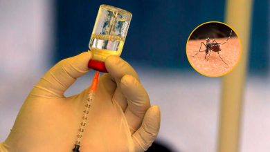 Photo of Vacunas contra el dengue en Argentina: cuáles son las avaladas y cuál está en estudio