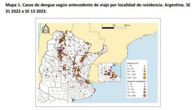 Photo of El mapa del dengue en la Argentina: cuáles son los distritos más afectados por el brote