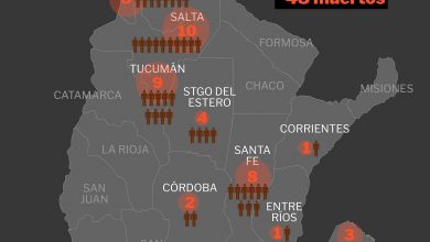 Photo of Cifra histórica de muertos por dengue en Argentina: se reportaron 48 víctimas fatales y más de 56 mil casos