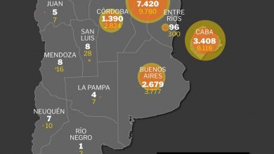 Photo of Al menos 25 muertes en todo el país: la radiografía del dengue en la Argentina