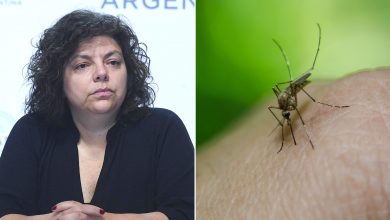 Photo of Vizzotti sobre el avance del dengue: “Estamos igualando el brote de 2020 y todavía tendremos semanas con aumento de casos”