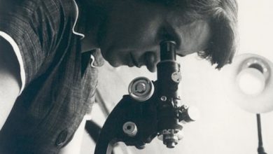 Photo of Prueban que el aporte de la científica Rosalind Franklin fue esencial para comprender la estructura del ADN