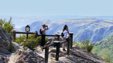 Photo of Ajuste en los Parques Nacionales: despidos masivos ponen en riesgo el patrimonio natural del país