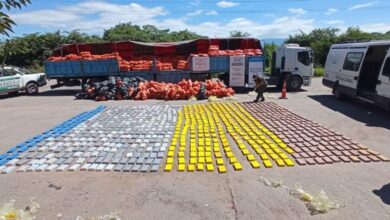 Photo of Incautaron en Salta 861 kilos de cocaína que iba oculta en zapallos
