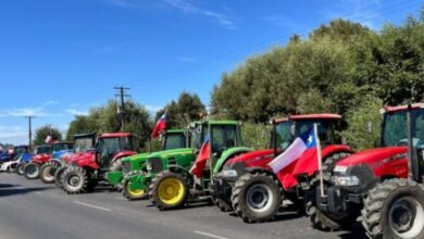 Photo of Tractorazo en Chile: agricultores protestaron por el bajo precio del trigo