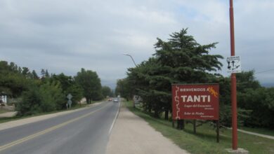 Photo of Tanti: una mujer mató a balazos a dos perros que se metieron en su campo