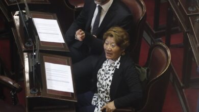 Photo of Una senadora libertaria contrató a sus tres hijos, su nuera, su hermano, su sobrina y su cuñada