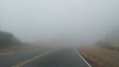 Photo of Niebla, lluvias y lloviznas: recomiendan circular con precaución por las rutas cordobesas