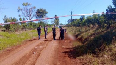 Photo of Dos perros pitbull mataron a un jubilado en Misiones