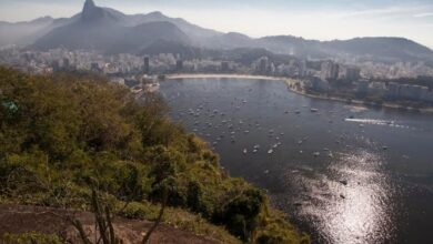 Photo of Parque Bondinho: una de las mejores postales de Río de Janeiro