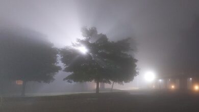 Photo of Precaución: por la niebla, la visibilidad es de sólo 500 metros en Córdoba