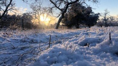 Photo of Nieve, lluvias y frío polar: el pronóstico para un fin de semana invernal en Córdoba