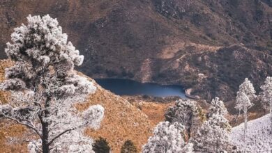 Photo of Mayo en la piel: las imágenes de la Córdoba nevada