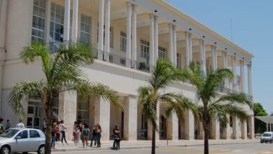 Photo of Acción por la Salud de las Mujeres en Ciudad Universitaria: vacunatorios, chequeos odontológicos, testeos, entre otros