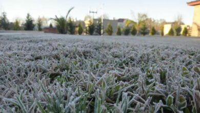 Photo of Córdoba, bajo cero: mayo se despide con mucho aroma a invierno