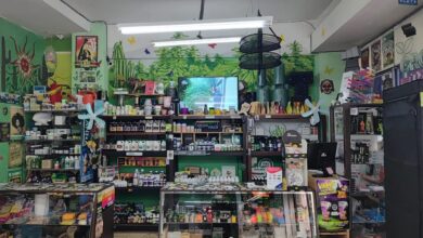 Photo of Un growshop de Córdoba vende esquejes de cannabis de manera legal