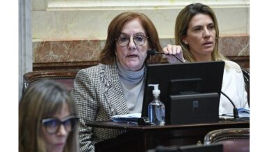 Photo of Senadora Vigo: «Soy una de las que quiere que a este gobierno le vaya  bien, muy bien»