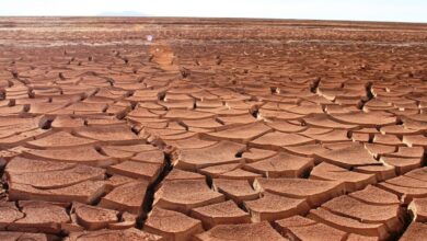 Photo of Arde el mundo: casi un año con 1,5 ºC por encima del promedio preindustrial