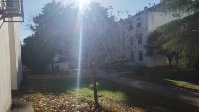 Photo of En medio de una fría ola, el otoño busca recuperar terreno en Córdoba