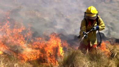 Photo of Bomberos combaten el fuego en siete puntos de la provincia