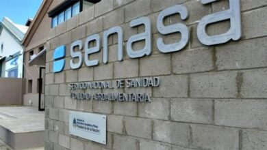 Photo of Senasa cierra seis oficinas en Córdoba y relocaliza sus servicios