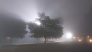 Photo of Alerta violeta: advierten por la presencia de espesa niebla en Córdoba