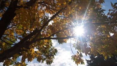 Photo of Sube la temperatura y el otoño está de regreso en Córdoba