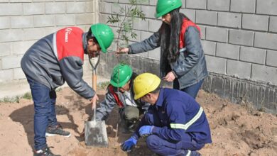 Photo of Grupo Tejamax y un compromiso con el Ambiente mediante la plantación de árboles autóctonos