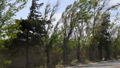 Photo of Con el calor, llega el viento norte: Córdoba, en «alerta amarillo»