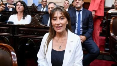 Photo of Ley Bases: una senadora trató a Javier Milei de «enfermo mental» y pidió su renuncia