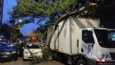 Photo of Un camión chocó contra unas ramas de árbol y provocó problemas en el tránsito