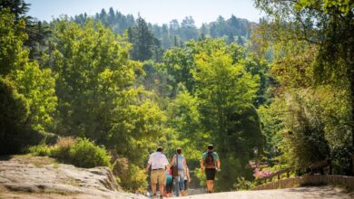 Photo of El fin de semana largo tuvo un 65% menos de turistas y cayó un 80% el gasto