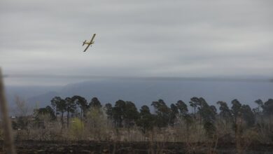 Photo of Riesgo de incendios en Córdoba: alerta por vientos intensos