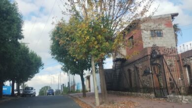 Photo of El tiempo en Córdoba: martes fresco y con ráfagas de viento norte