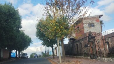 Photo of Córdoba, en «alerta amarillo» por el frío: cómo sigue el tiempo