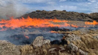 Photo of Incendio en el Champaquí: siguen los trabajos y esperan contener las llamas este jueves