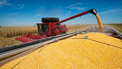 Photo of La actividad económica creció un 2,3% en mayo por el agro y la minería