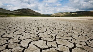 Photo of Sequías, la sed de la tierra: una nueva charla del ciclo Tardes de Ciencia