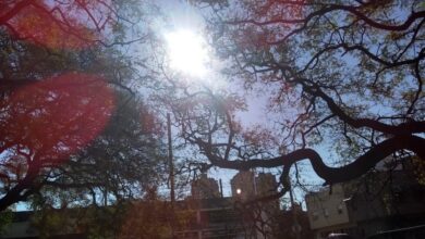 Photo of La temperatura sigue subiendo este martes en Córdoba, antes de las lluvias