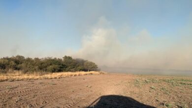 Photo of Incendio en Villa del Totoral: bomberos lograron contener el fuego en el monte nativo