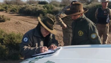 Photo of Caza ilegal: doce personas mataron a tres ñandúes en el Parque Nacional Ansenuza