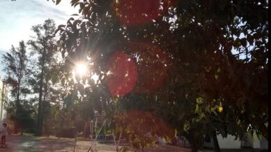 Photo of Córdoba en invierno: cuando cede el frío y llegan los días amenos