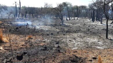 Photo of Hay cuatro incendios bajo guardia de cenizas en el norte de Córdoba