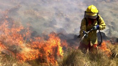 Photo of Córdoba en alerta roja: riesgo extremo de incendio en toda la provincia