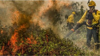 Photo of En 2024 el fuego consumió cien mil hectáreas en un día en Mato Grosso do Sul