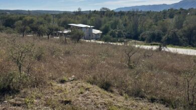 Photo of Irá a juicio una banda que vendía terrenos usurpados en Calamuchita