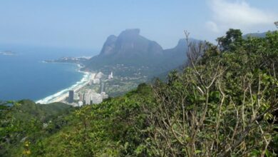 Photo of Senderismo y montañismo en Río de Janeiro