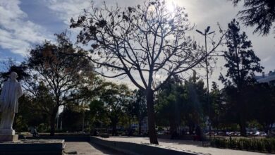 Photo of El tiempo en Córdoba: hasta cuándo se extienden las amenas jornadas